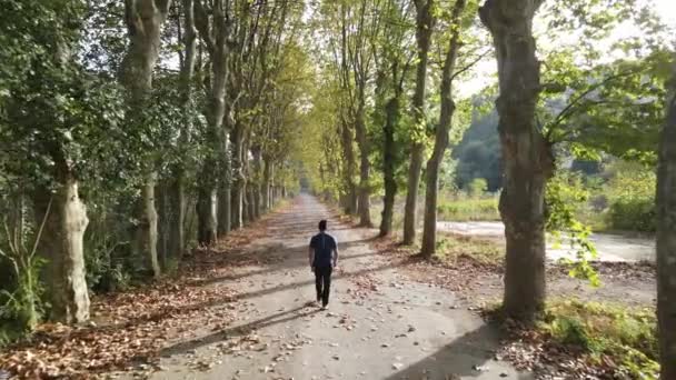 Wandern malerische Straße Herbst Luftaufnahme Drohne — Stockvideo