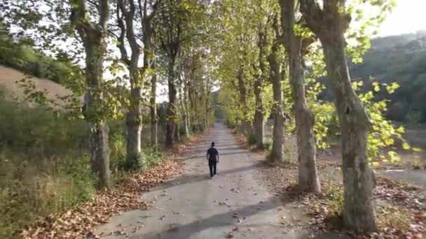 가을 도로를 걷는 드론 — 비디오