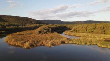 Nehir delta hava görüntüsü