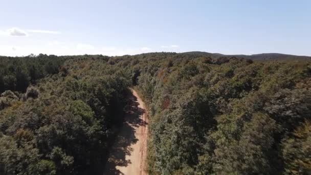 Floresta natureza drone voando — Vídeo de Stock