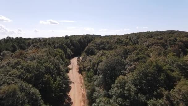 Natureza florestal vista aérea — Vídeo de Stock
