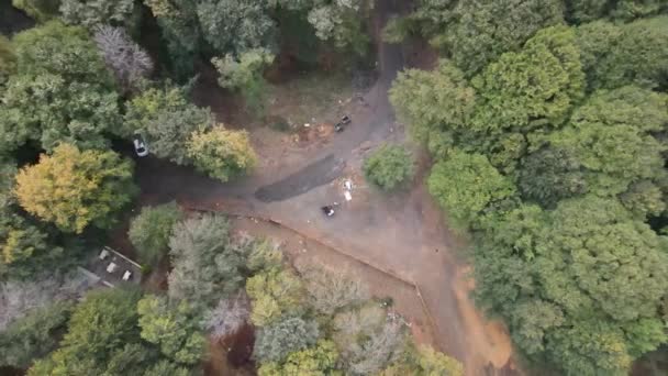 Dron letící nad přírodním lesem — Stock video