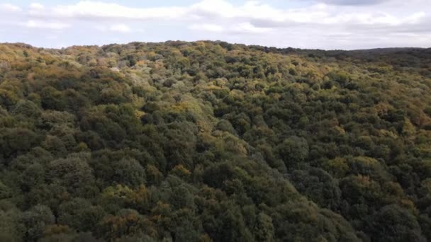 Vista aérea naturel natureza florestal — Vídeo de Stock