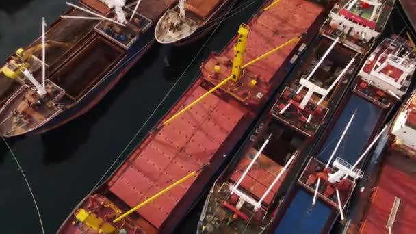 Navios ancorados no porto — Vídeo de Stock