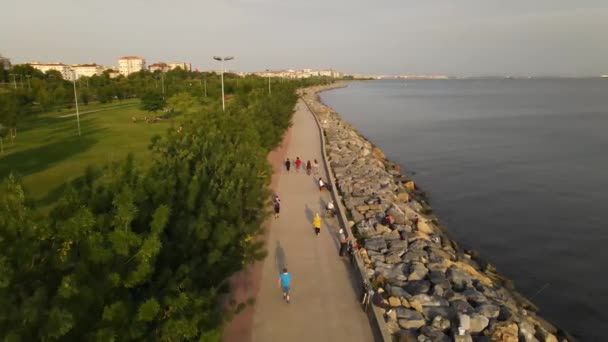Aerial View Coastal Walking — Wideo stockowe