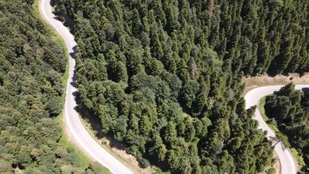 Drohnenaufnahmen von Zick-Zack-Straße zwischen Wald — Stockvideo