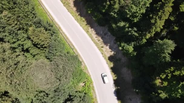 Voiture voyageant milieu forêt — Video