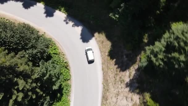 Záběry z dronů Zigzag Road mezi lesy — Stock video