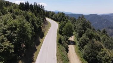 Yeşil bir ormanda yol