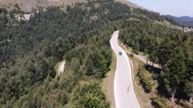 Hava Görünümü Sürücü Araba Ormanı