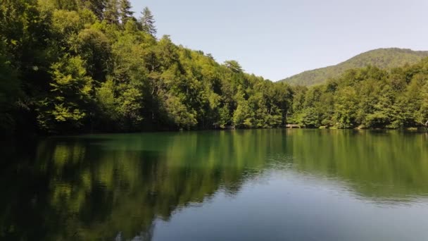 Lago que refleja paisaje verde — Vídeos de Stock