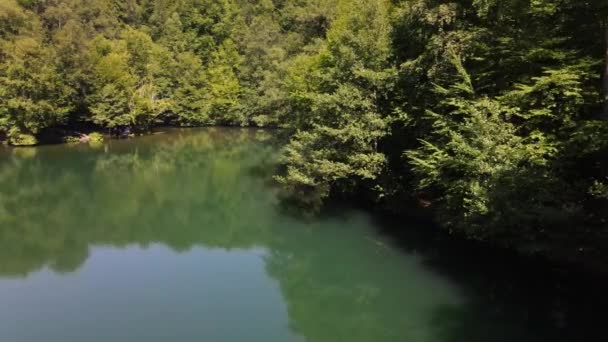 Wooded Lake Park w lesie — Wideo stockowe