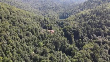 Mountian Ormanı Doğal Göl
