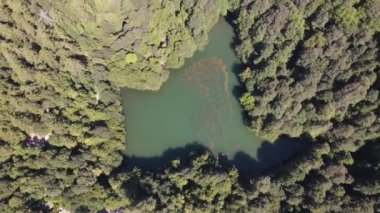 Ağaçlar Arasındaki Hava Görüntüleme Göleti