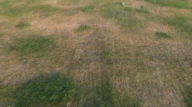 Hava manzaralı şehir parkı bahçesi