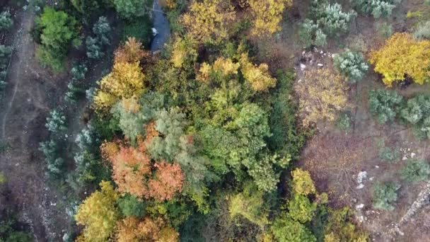 Luftaufnahme Wald Herbst Saison Herbst Farben — Stockvideo