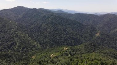 Orman atlı doğal hava aracı.