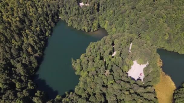 Bosque natural del lago Pond — Vídeos de Stock