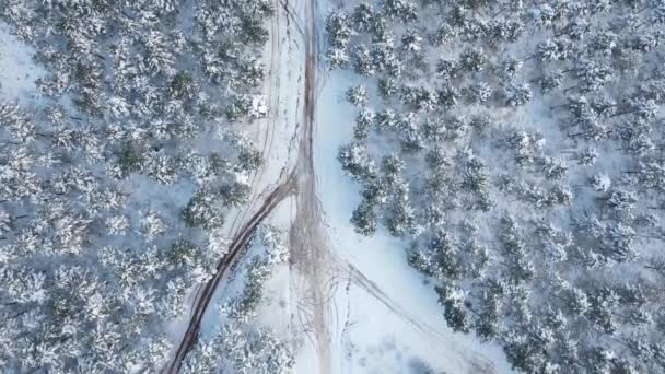 Gefrorene Bäume Winter Straße Luftaufnahme — Stockvideo