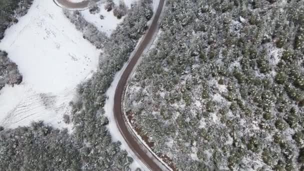 Alberi congelati strada invernale vista aerea — Video Stock