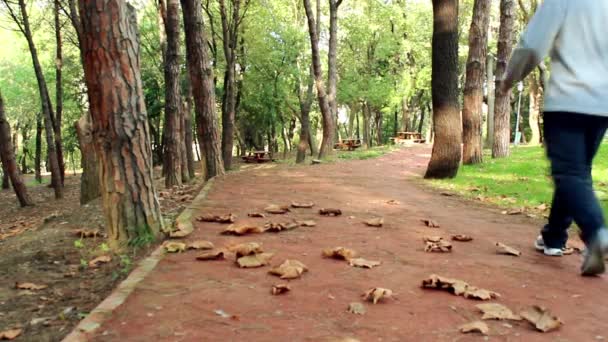 Caminhando Outono Floresta Homem solitário — Vídeo de Stock