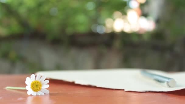 Romantiskt brev med blommor tusensköna — Stockvideo