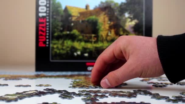 Puzzelspel taak en subtaak concept — Stockvideo