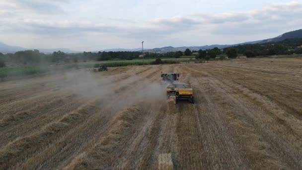 Farm Harvesting Aerial View — Stock video