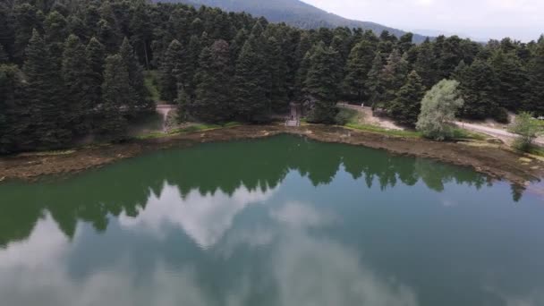 Drohnenflug im Lake Park — Stockvideo
