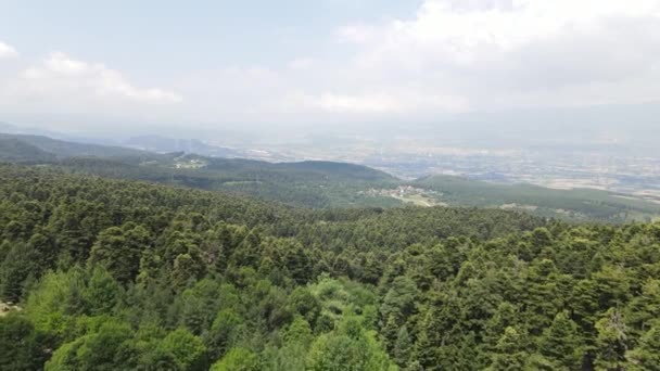 Çam Doğal Ormanı Tepe Uçan İnsansız Hava Aracı — Stok video