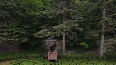 Göl Ağaçları Uçan İnsansız Hava Aracı