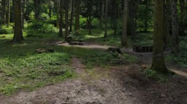 Efsanevi Doğal Orman Parkı