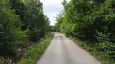 Hava Aracı Yolu Ağaçları Her İki Tarafta