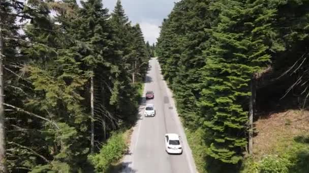 Droga asfaltowa z widokiem z lotu ptaka — Wideo stockowe