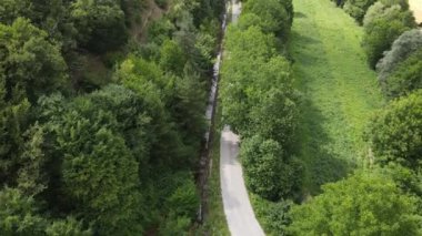 İki Tarafta Yeşil Ormanlı Asfalt Yolu