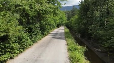 İki Tarafta Yeşil Ormanlı Asfalt Yolu