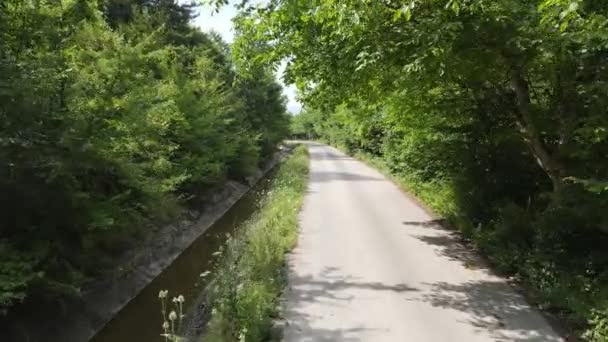 Camino de asfalto con bosque verde en ambos lados — Vídeo de stock