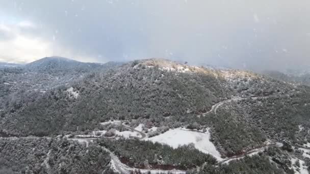 Inverno Floresta Montanhas Neve Drone aéreo — Vídeo de Stock