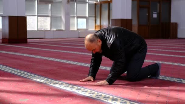 Mosque prayer kowtow old man — Stock Video