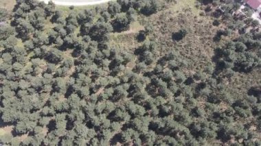 Gökyüzü manzaralı şehir ve orman