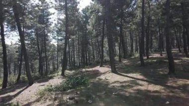 Hava aracı ortamı