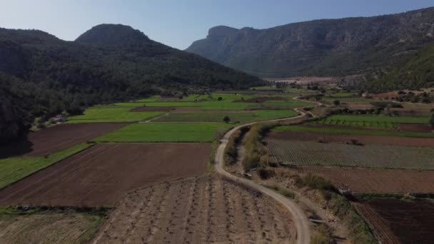 Drohnen-Ansicht von Ackerland im Tal — Stockvideo