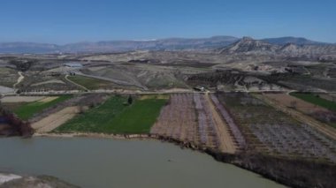 Nehir kenarında çiçek açan ağaçlar.