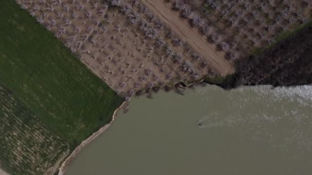 Drone utsikt över fruktträdgård och jordbruksmark genom strömmande flod sida — Stockvideo