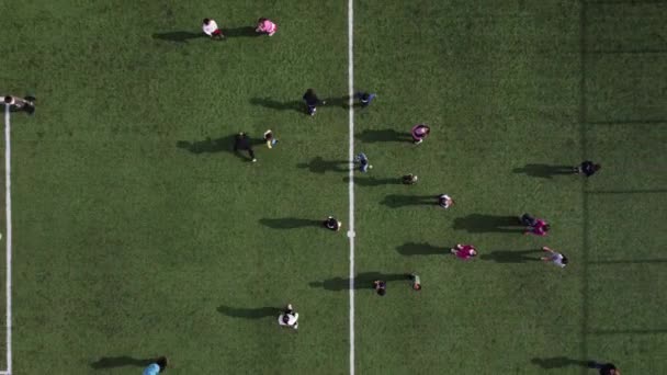 Niños jugando campo de fútbol verde — Vídeo de stock