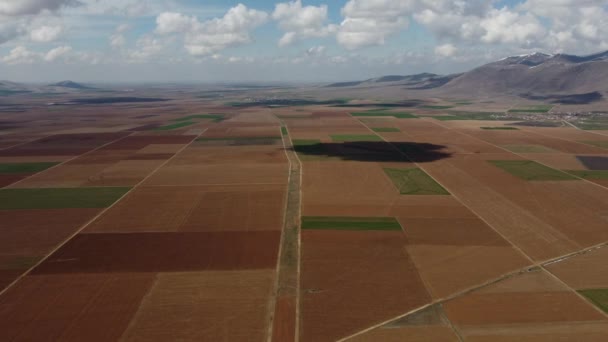 Día nublado en vastas tierras de cultivo — Vídeo de stock
