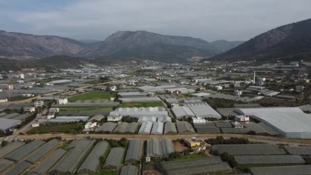 Agricultura con vista aérea — Vídeo de stock