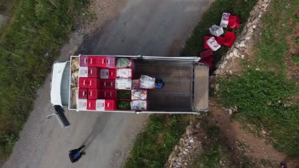 Сера рабочие погрузки продукции грузовик — стоковое видео