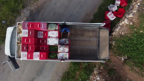 Trabajadores agrícolas cargando cajas camiones — Vídeos de Stock