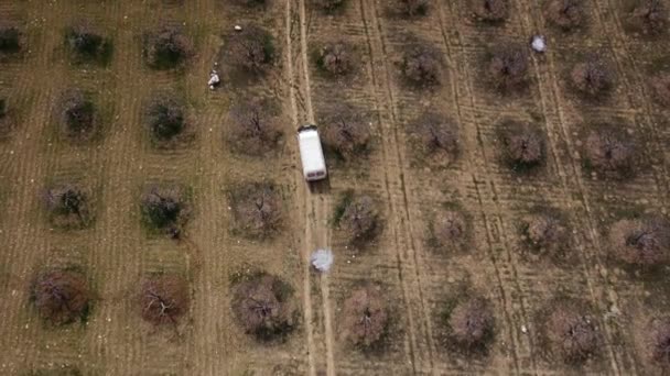 Vehicle moving in farm garden — Stock Video